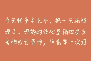 今天忙乎半上午，把一只死猫埋了。埋的时候心里稍微有点害怕或者异样，毕竟第一次埋死物？