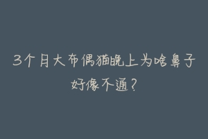 3个月大布偶猫晚上为啥鼻子好像不通？