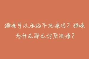 猫咪可以永远不洗澡吗？猫咪为什么那么讨厌洗澡？