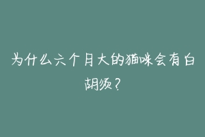 为什么六个月大的猫咪会有白胡须？