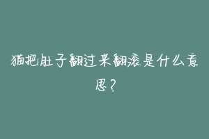 猫把肚子翻过来翻滚是什么意思？