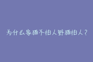 为什么家猫不怕人野猫怕人？