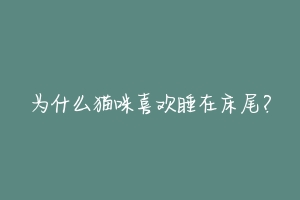 为什么猫咪喜欢睡在床尾？