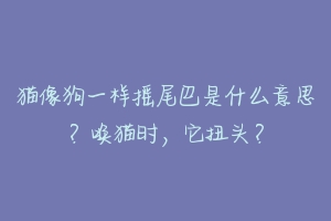 猫像狗一样摇尾巴是什么意思？唤猫时，它扭头？