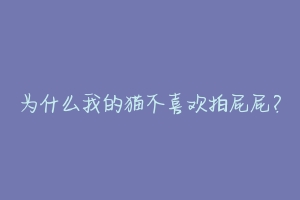 为什么我的猫不喜欢拍屁屁？