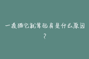 一摸猫它就耸起肩是什么原因？