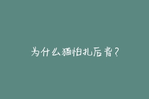 为什么猫怕扎后背？