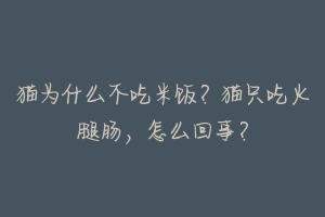 猫为什么不吃米饭？猫只吃火腿肠，怎么回事？