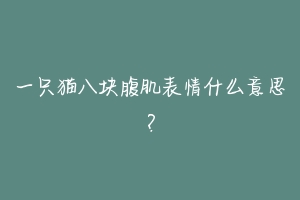 一只猫八块腹肌表情什么意思？