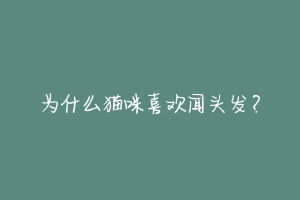 为什么猫咪喜欢闻头发？