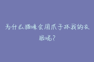 为什么猫咪会用爪子抓我的衣服呢？