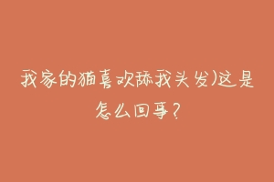 我家的猫喜欢舔我头发)这是怎么回事？