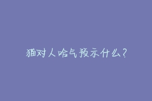 猫对人哈气预示什么？