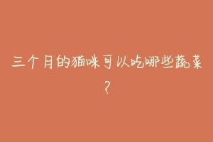 三个月的猫咪可以吃哪些蔬菜？