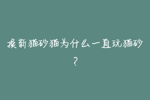 换新猫砂猫为什么一直玩猫砂？