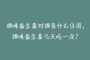 猫咪益生菌对猫有什么作用，猫咪益生菌几天吃一次？