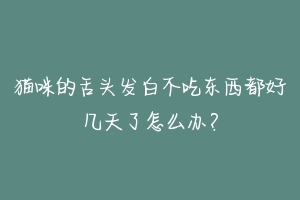 猫咪的舌头发白不吃东西都好几天了怎么办？