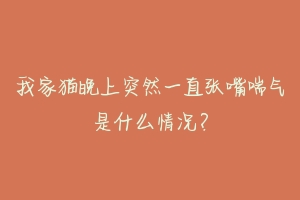 我家猫晚上突然一直张嘴喘气是什么情况？