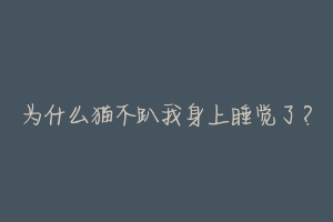 为什么猫不趴我身上睡觉了？