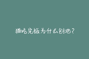 猫吃完饭为什么刨地？