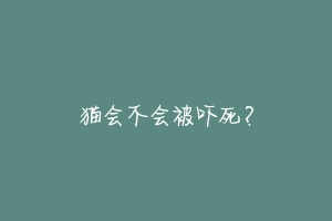 猫会不会被吓死？