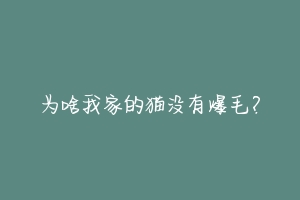 为啥我家的猫没有爆毛？