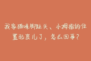 我家猫咪脚趾头、小拇指的位置起皮儿了，怎么回事？