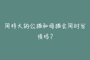 同样大的公猫和母猫会同时发情吗？