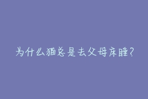 为什么猫总是去父母床睡？