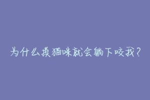 为什么摸猫咪就会躺下咬我？