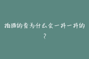 拍猫的背为什么会一抖一抖的？