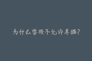 为什么学校不允许养猫？