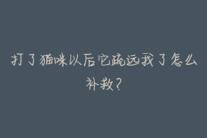 打了猫咪以后它疏远我了怎么补救？