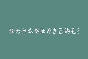 猫为什么要扯掉自己的毛？