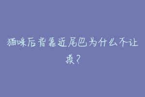 猫咪后背靠近尾巴为什么不让摸？