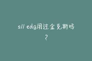 s11 edg用过金克斯吗？