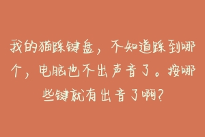 我的猫踩键盘，不知道踩到哪个，电脑也不出声音了。按哪些键就有出音了啊？