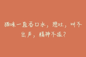 猫咪一直吞口水，想吐，叫不出声，精神不振？