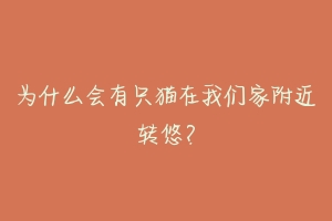 为什么会有只猫在我们家附近转悠？