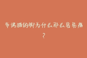 布偶猫的脚为什么那么容易瘸？