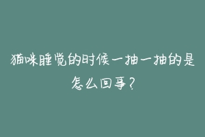 猫咪睡觉的时候一抽一抽的是怎么回事？