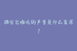 猫发出嗷呜的声音是什么意思？