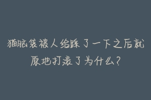 猫脑袋被人给踩了一下之后就原地打滚了为什么？