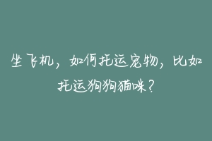 坐飞机，如何托运宠物，比如托运狗狗猫咪？