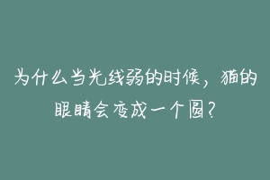 为什么当光线弱的时候，猫的眼睛会变成一个圆？