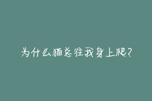 为什么猫总往我身上爬？