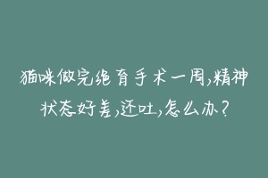 猫咪做完绝育手术一周,精神状态好差,还吐,怎么办？