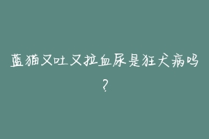 蓝猫又吐又拉血尿是狂犬病吗？