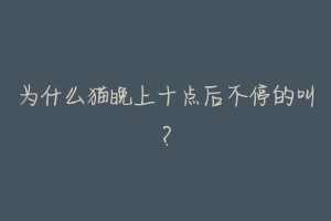 为什么猫晚上十点后不停的叫？