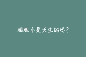 猫胆小是天生的吗？